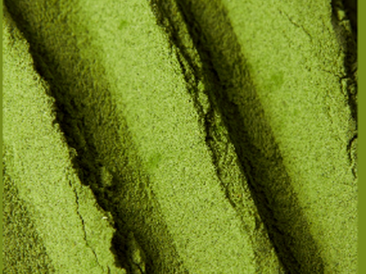 Premium matcha powder texture